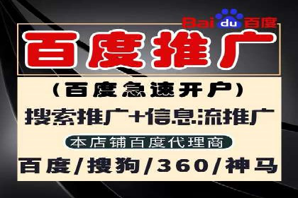 百度SEM广告投放的创意与执行：成功案例详解